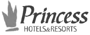 06_l_princess